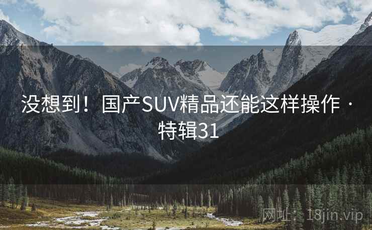 没想到!国产SUV精品还能这样操作 · 特辑31 没想到!国产SUV精品还能这样操作 · 特辑31