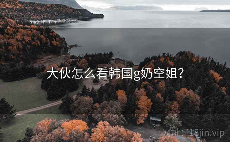 大伙怎么看韩国g奶空姐？